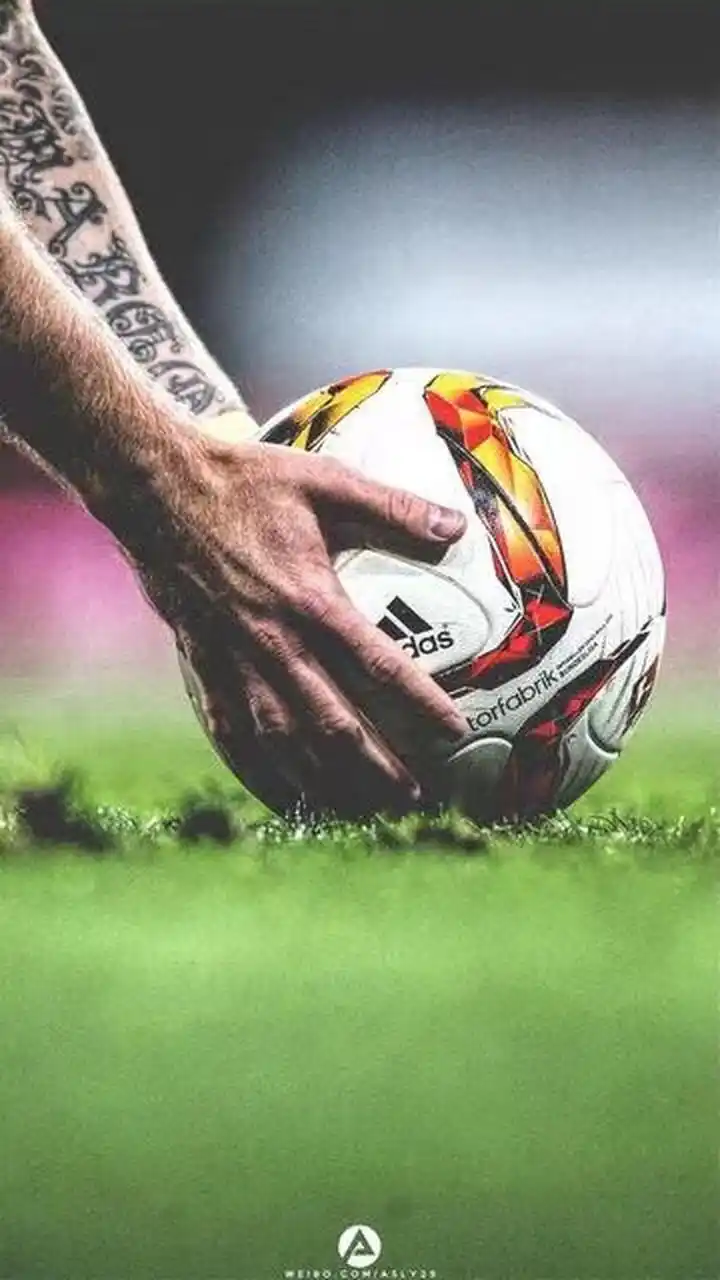 运动员卓越 运动员卓越