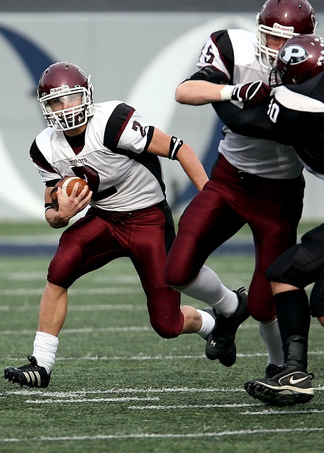 使得拜仁屡 使得拜仁屡